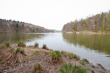 view on the lake. reflection of trees