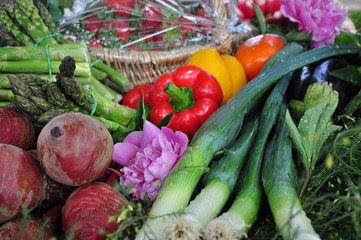 diversite des legumes