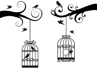Stickers pour porte Oiseaux en cages bircage et oiseaux, vecteur