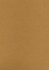 Flat cardboard texture