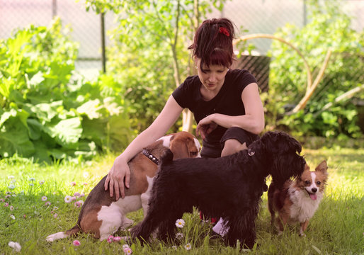 pets