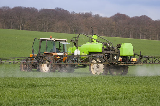 Tracteur pulv&eacute;risant du d&eacute;sherbant sur un champ de bl&eacute;