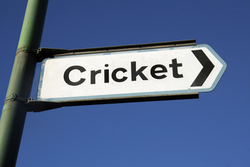 Fototapeta premium To the cricket