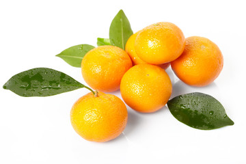 fresh tangerines on the white background