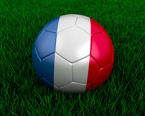 Fototapeta na wymiar French soccer ball