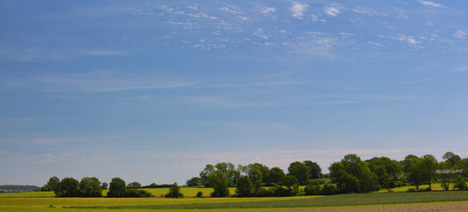 XXL-Panorama/Hintergrund von Wiesenlandschaft