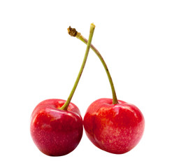 Red sweet cherries