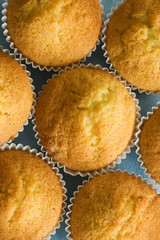 Overhead view of plain homemade baked buns