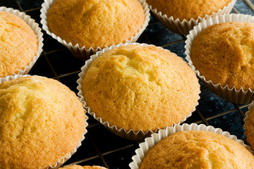 Plain homemade baked buns on a baking tray