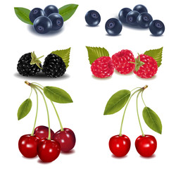 Photo-realistic vector illustration. Group of berries.