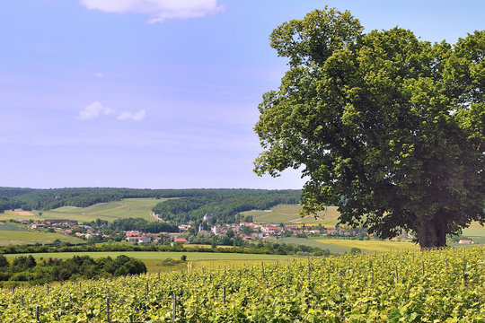 Bligny vu du tilleul de Sainte Eulalie (Aube)