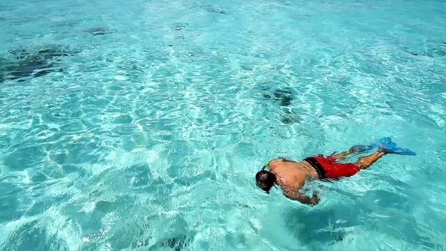 Baignade dans l'eau cristaline des cara&iuml;bes.