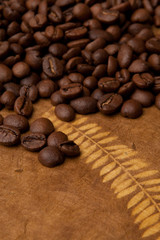 Coffee  grain