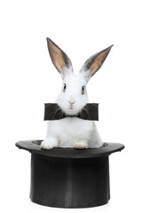 A view of a rabbit with bow tie in a hat isolated on white