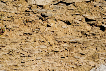 Wall texture