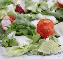 Gemischter Salat