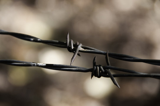 alambre de puas o alambre de seguridad