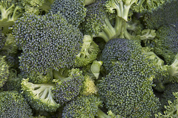 Broccoli Background Texture