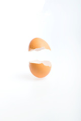 egg shell