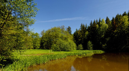 Waldsee