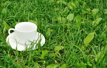 Cup on the grass