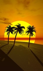 Plakat palmiers au soleil couchant