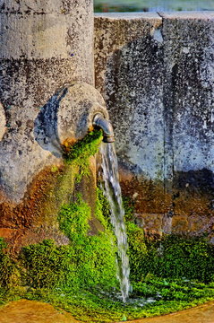 Vieille fontaine en pierre avec mousse verte.