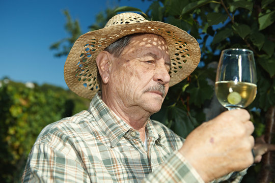 Senior winemaker with glass of wine