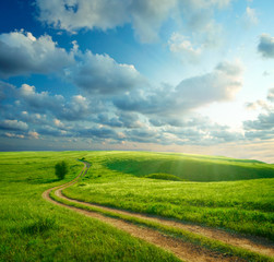 Summer landscape with green grass, road and clouds