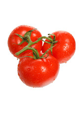 fresh tomatoes on the white background