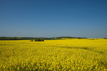 Mecklenburger Landschaft