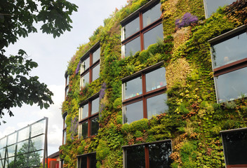 façade végétale - mur vert