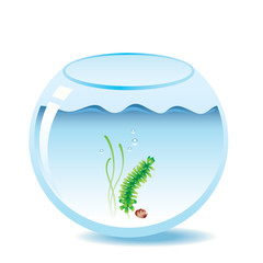 Vector illustration of an aquarium for fishes.