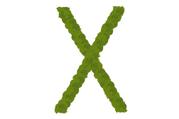 green leaves X