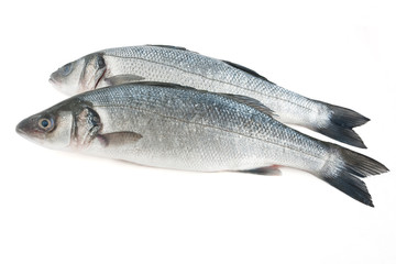 due spigole - two sea bass