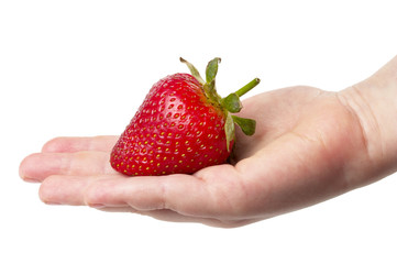 Strawberry in the hand