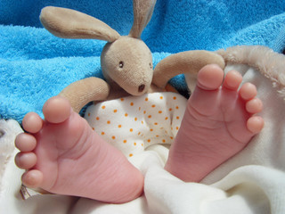 pieds de bébé et son doudou lapin © skampixelle