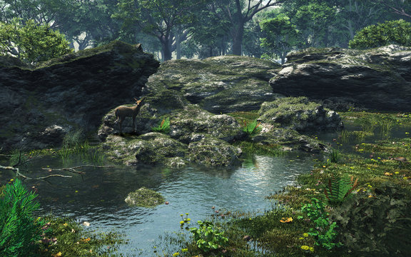 Peaceful Woodland Pond