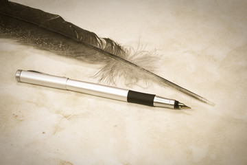 sepia image of feathers