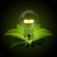 Light Bulb with Leafs