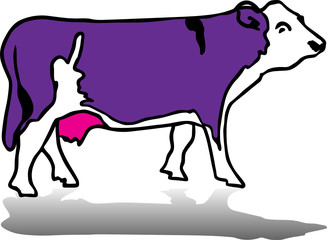 cow vector illustration
