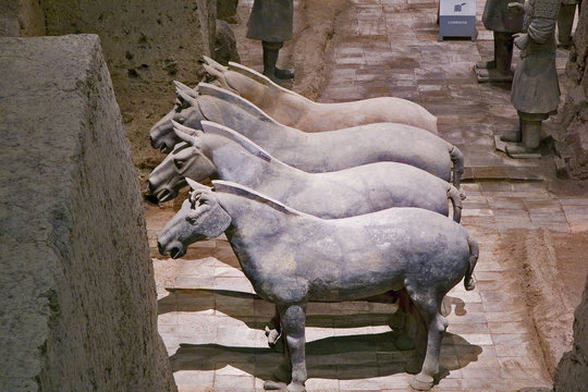 chine; xi'an : armée; enterrée; chevaux