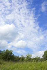 Fototapeta na wymiar summer lawn and blue cloudy sky