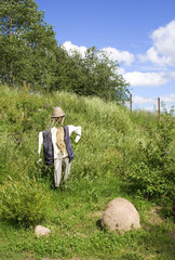 summer lawn and scarecrow
