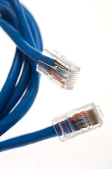 network cable