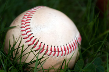 Old Baseball in the Grass