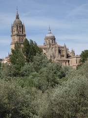 Fototapeta na wymiar Nowa katedra w Salamance z rzeki Tormes