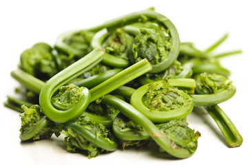 Fiddleheads