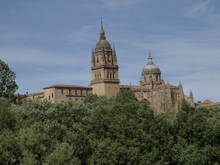 Fototapeta na wymiar Nowa katedra w Salamance z rzeki Tormes