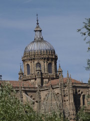 Obraz premium Cimborrio de la catedral Nueva de Salamanca